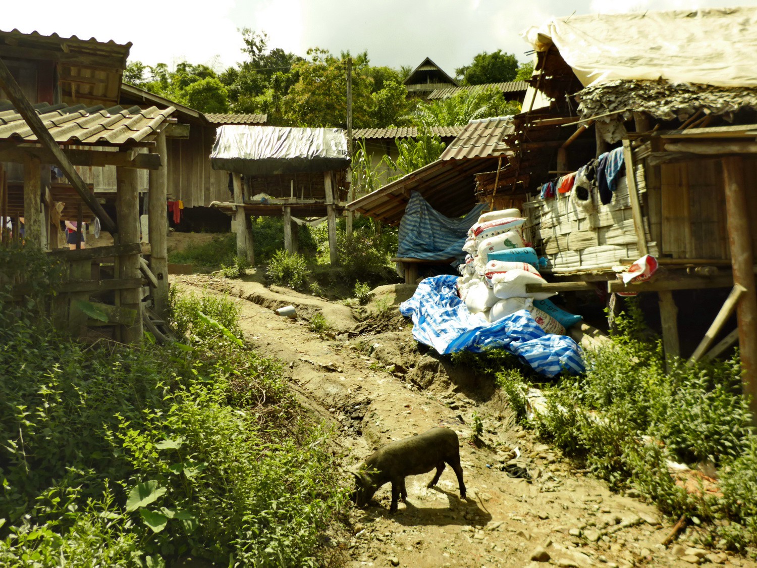 Village of the Karen tribe